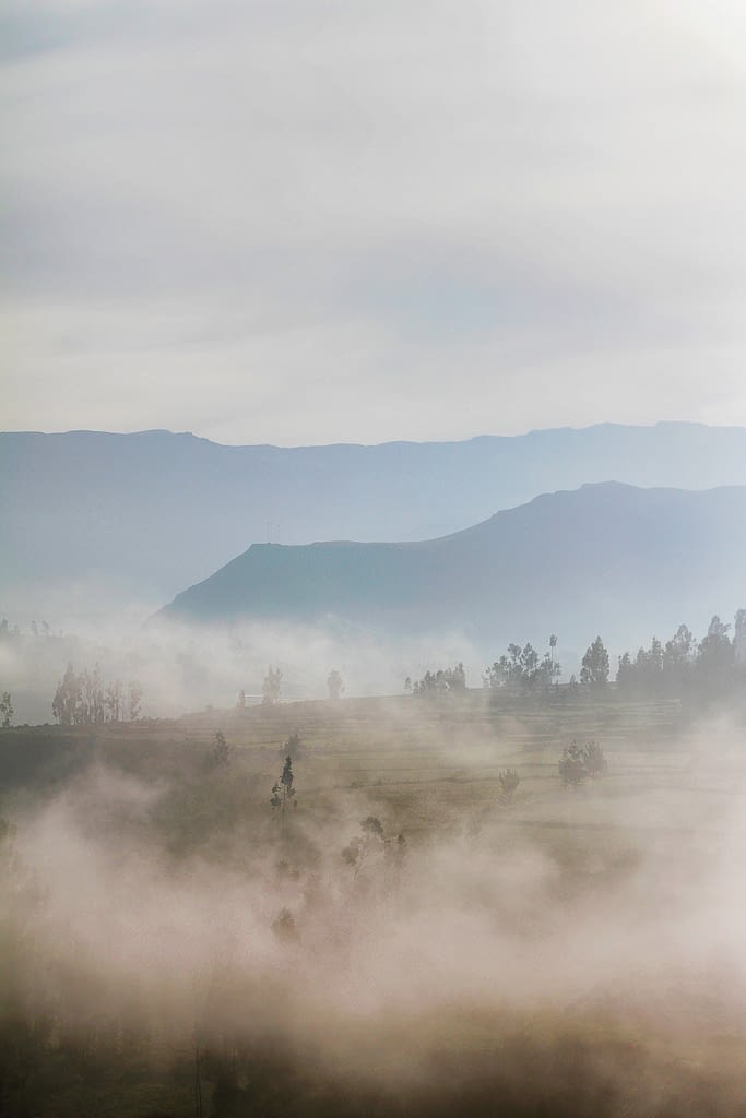 zdjęcie krajobrazu - polana we mgle